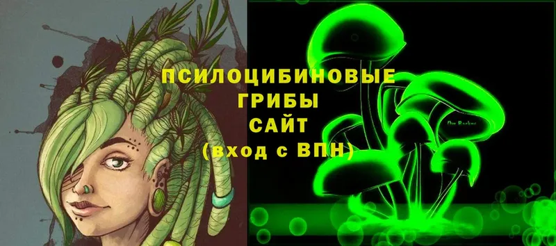 где можно купить   Пучеж  кракен tor  Псилоцибиновые грибы Cubensis 